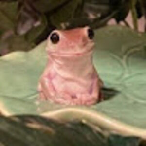 Meet your Posher, An1m3_l0v3r